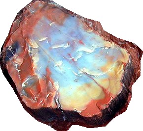 madeira petrificada