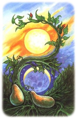 dois de escudos